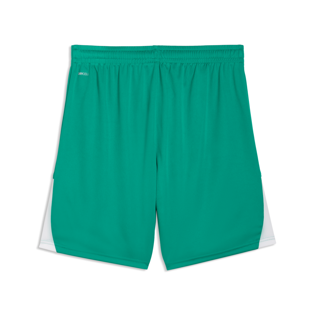 Puma TeamLiga 26 Shorts - Green