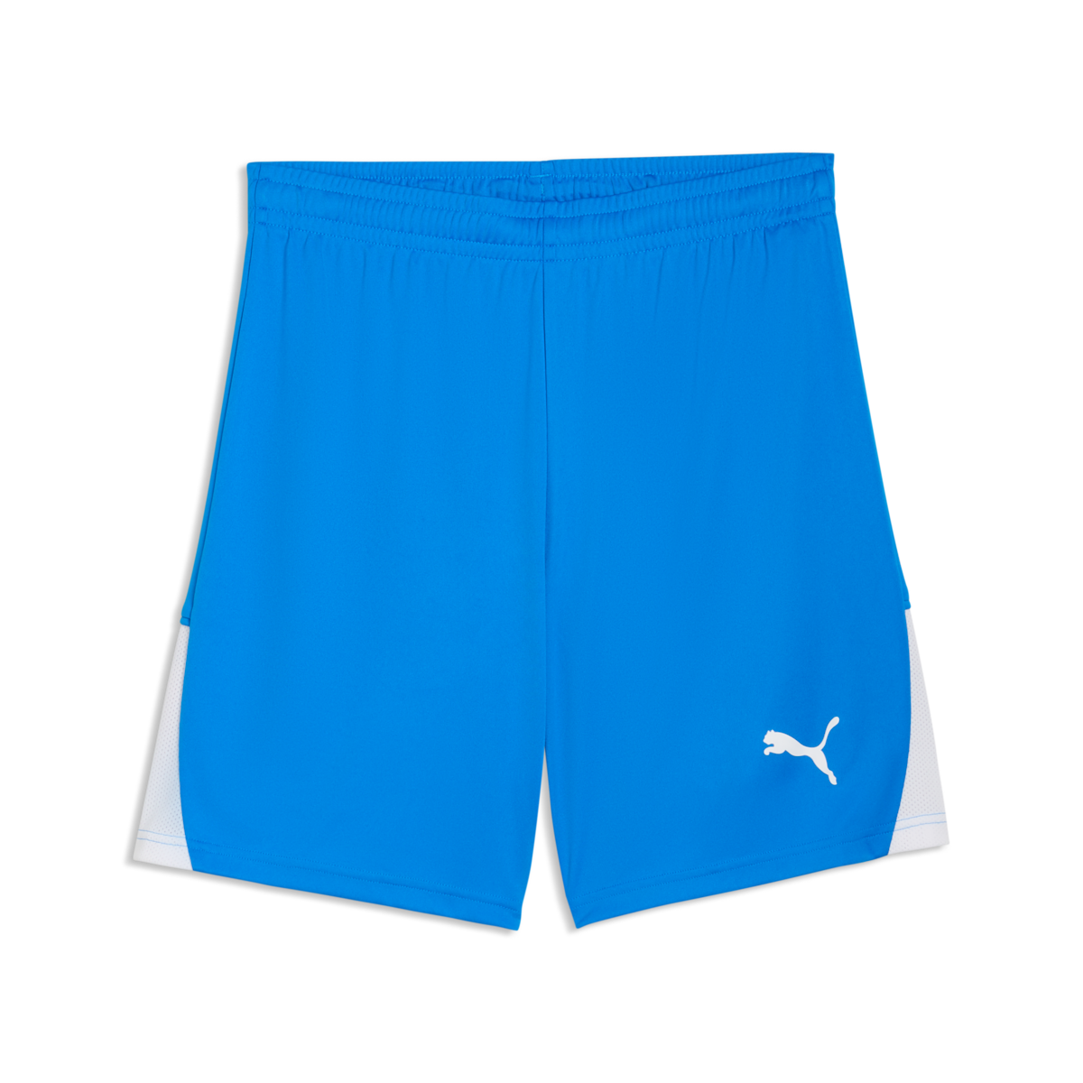 Puma TeamLiga 26 Shorts - Royal