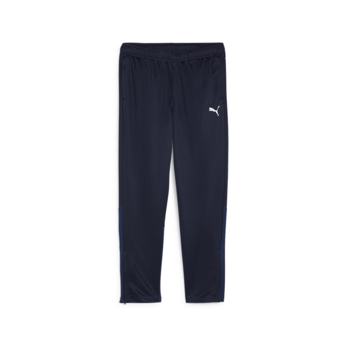 Puma Women's Teamgoal Training Pants - Navy Blue 658642-06