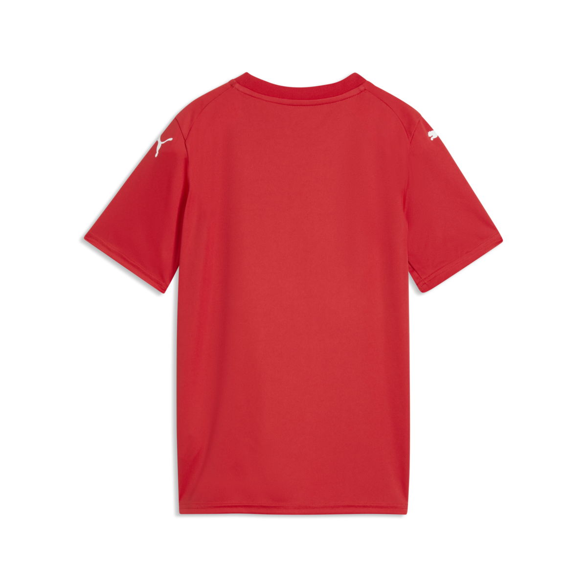 Puma Youth Teamfinal Graphic Jersey - Red
