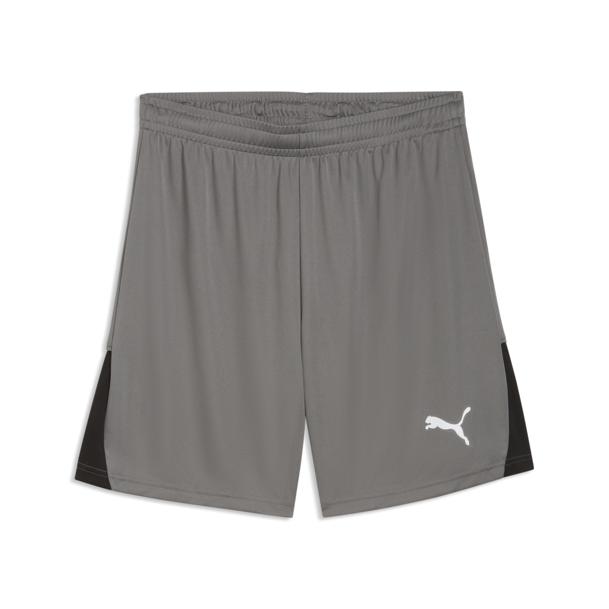 Puma TeamLiga 26 Shorts - Gray