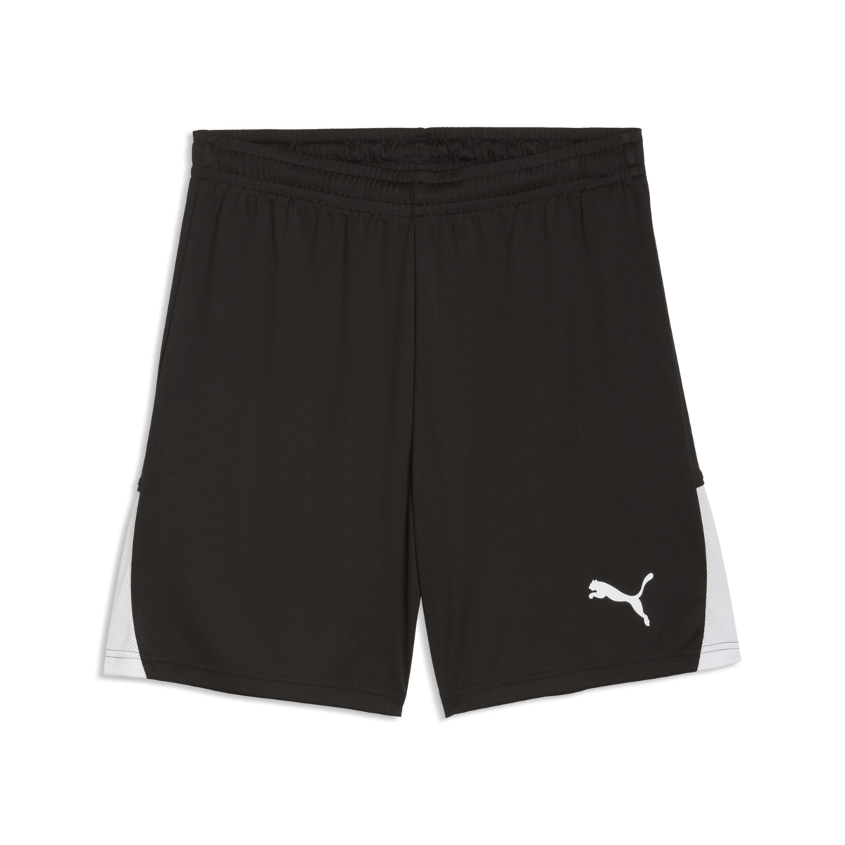 Puma TeamLiga 26 Shorts - Black