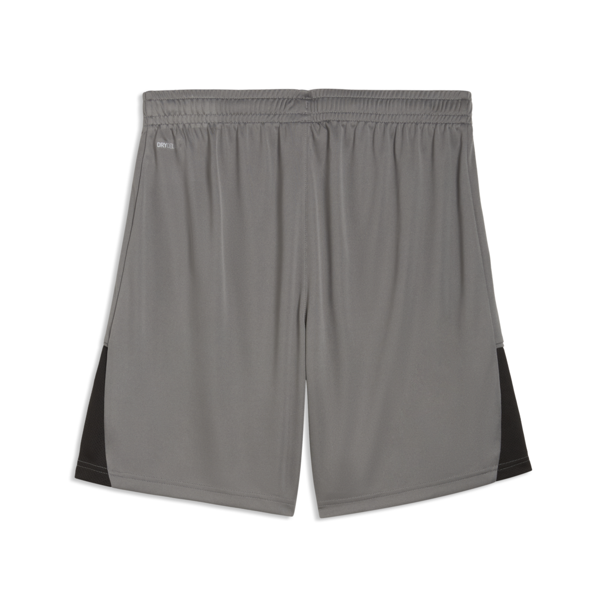 Puma TeamLiga 26 Shorts - Gray