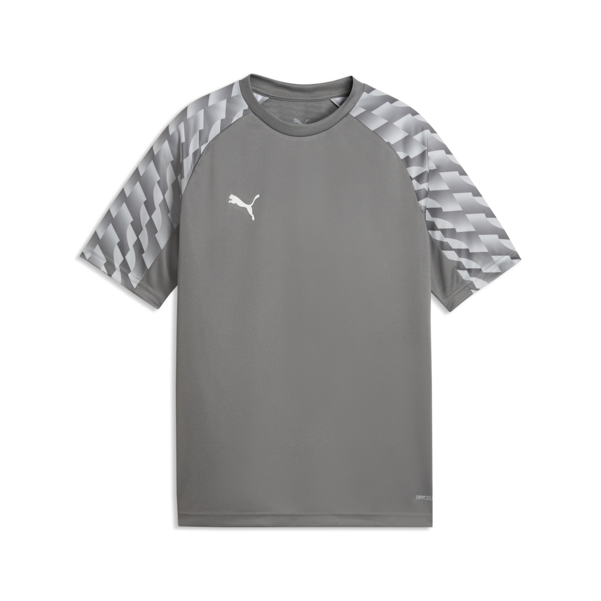 Puma Youth TeamLiga 26 Jersey - Gray