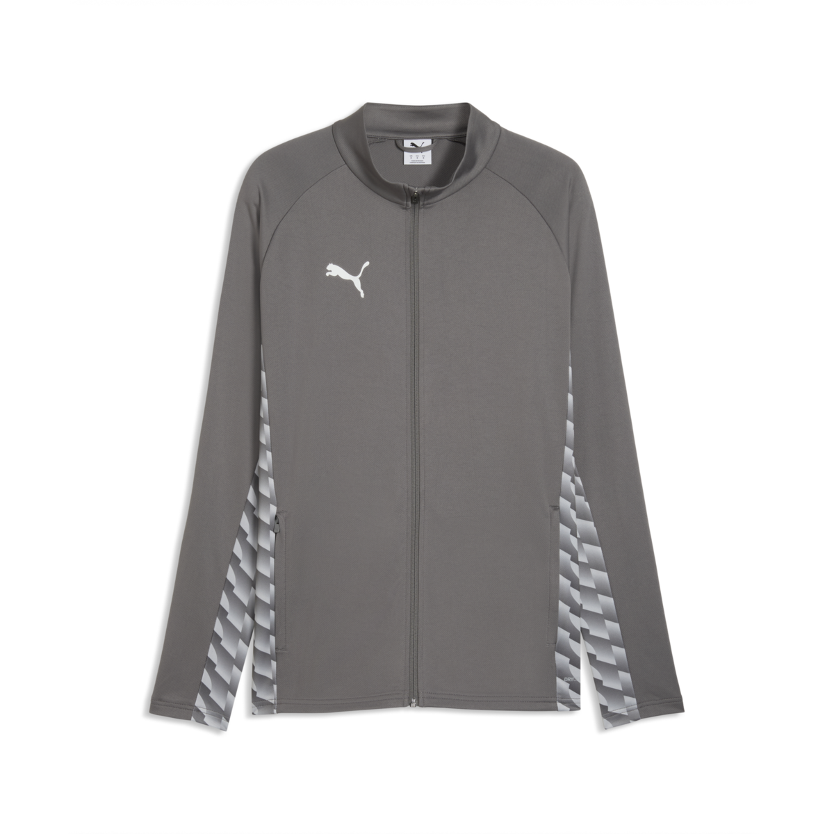 Puma TeamLiga 26 Training Jacket - Gray