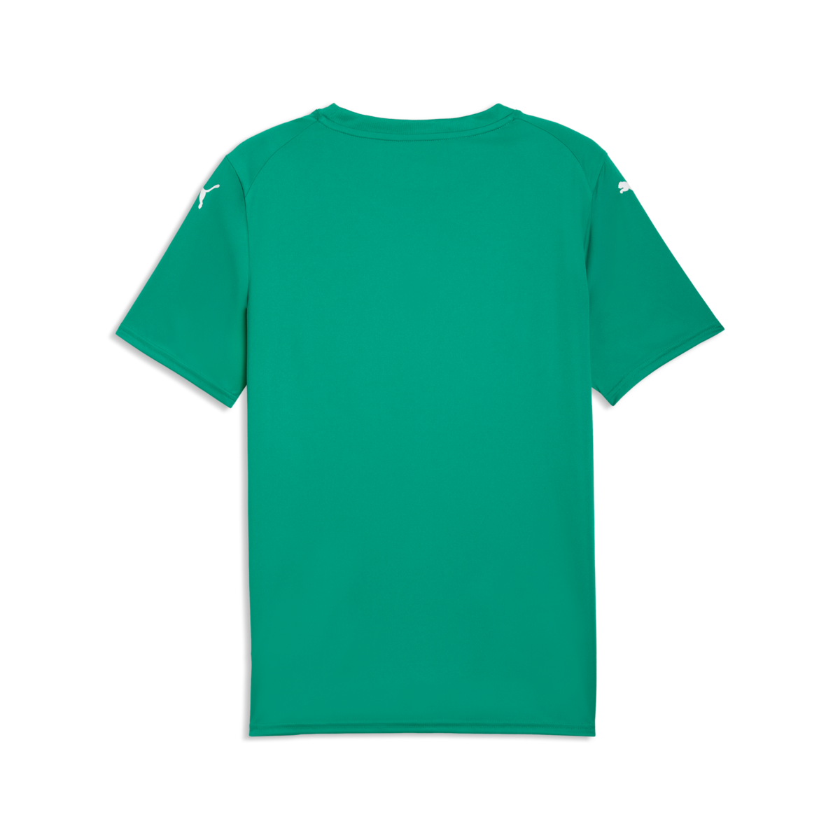 Puma Teamfinal Graphic Jersey - Green