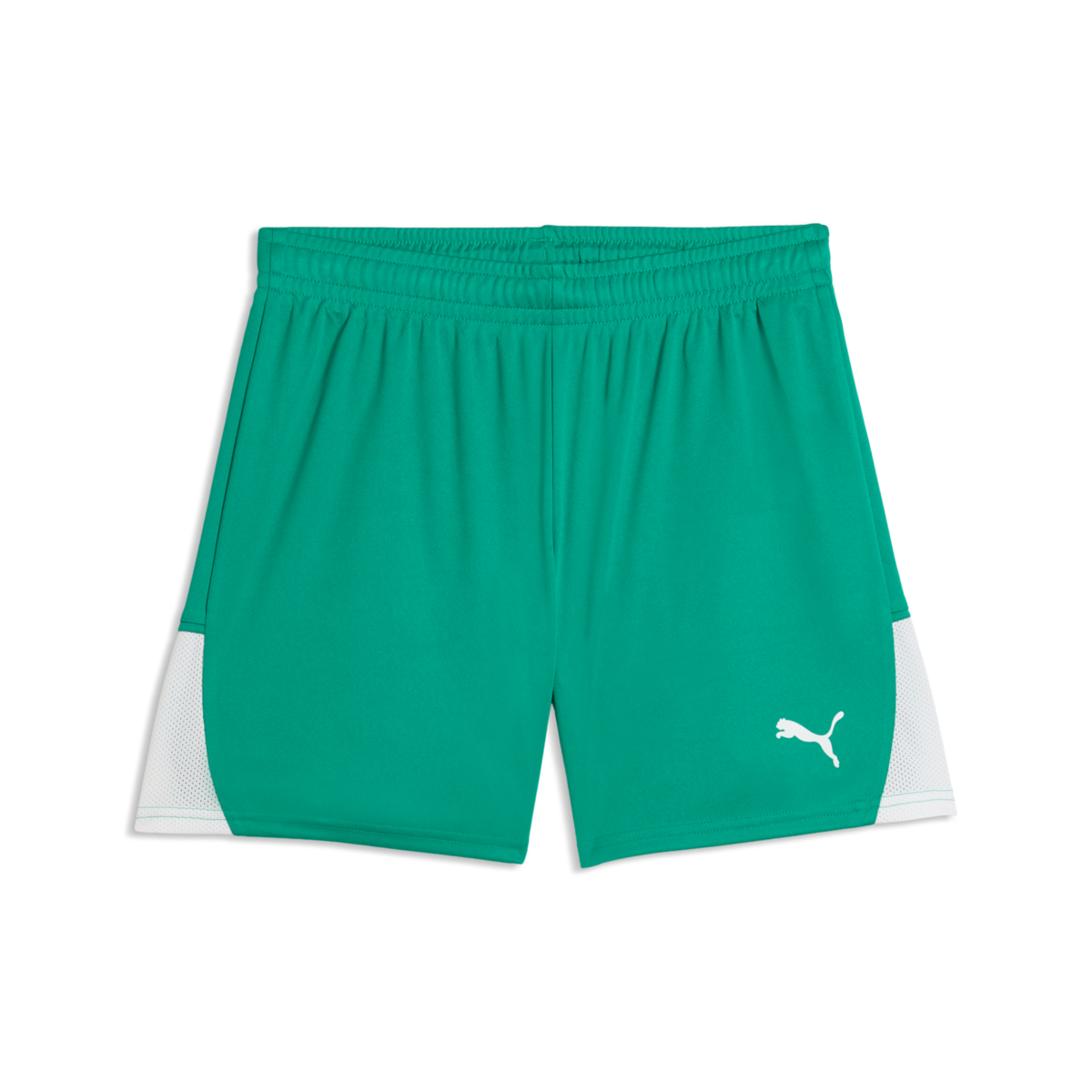 Puma Women'S TeamLiga 26 Shorts - Green