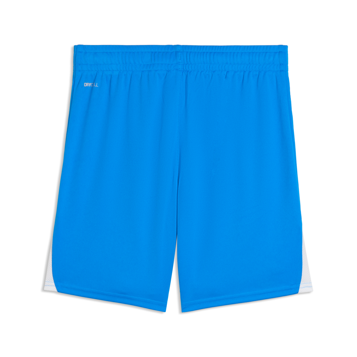 Puma Youth TeamLiga 26 Shorts - Royal