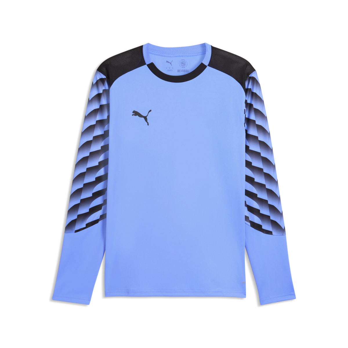 Puma TeamLiga 26 Gk Jersey - Blue Glimmer