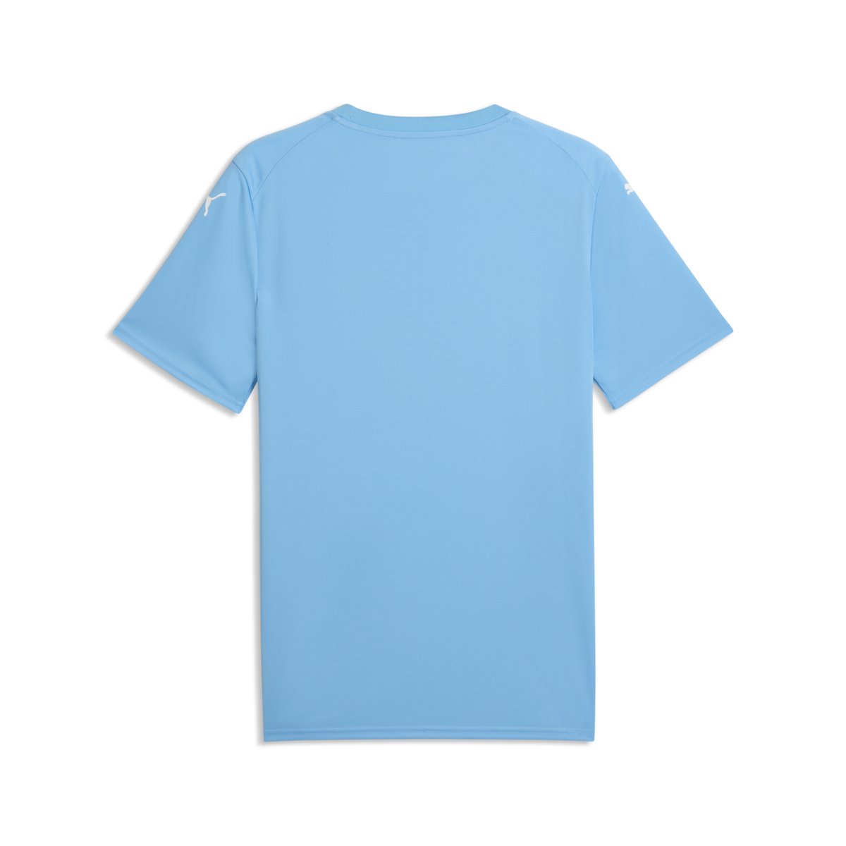 Puma Teamfinal Graphic Jersey - Light Blue