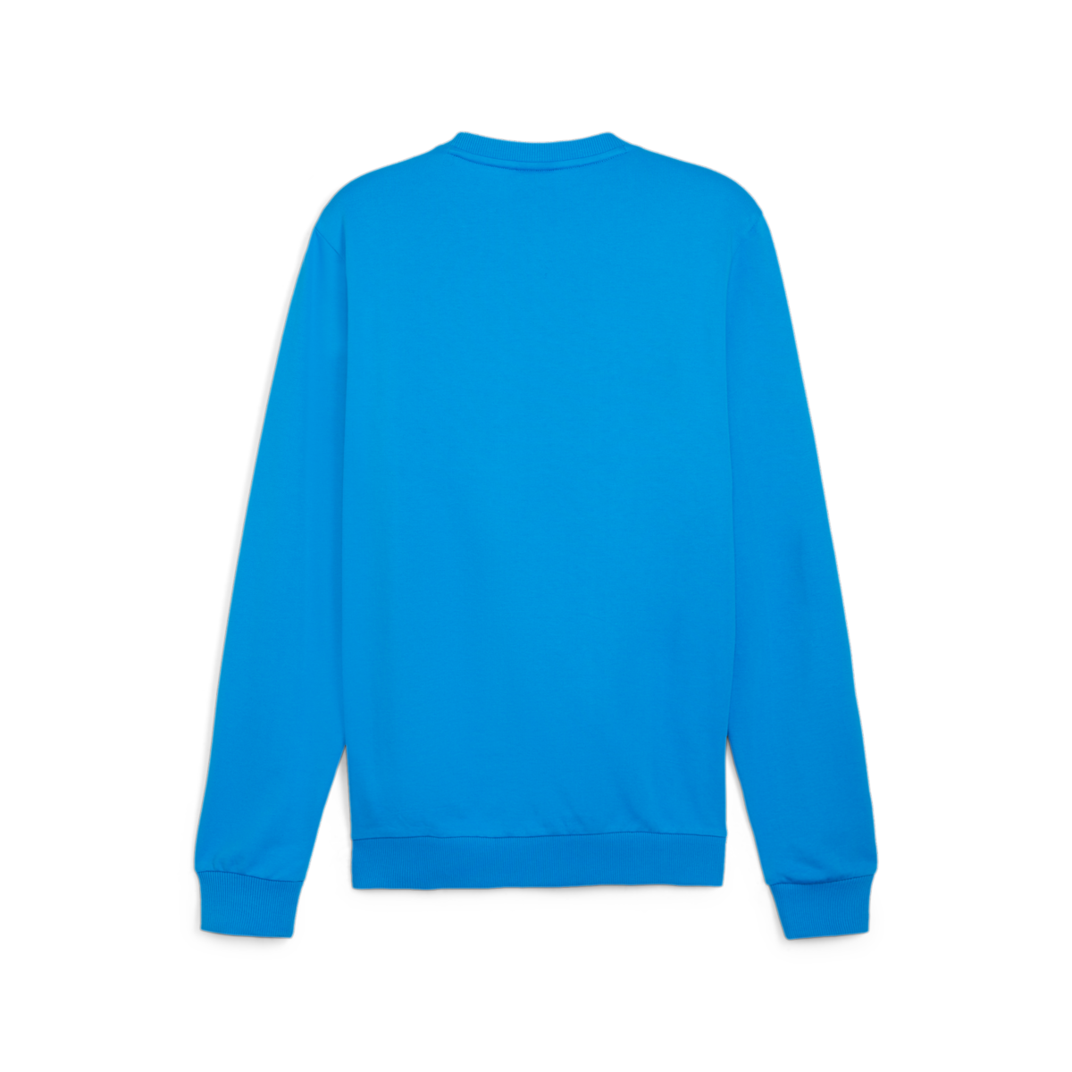 Puma TeamGoal Casuals Crew Neck Sweat - Ignite Blue