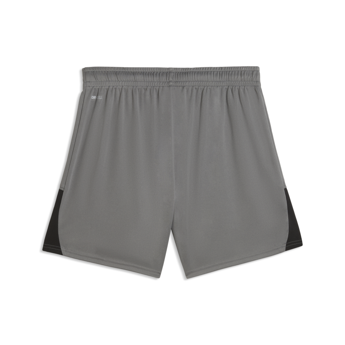 Puma Women'S TeamLiga 26 Shorts - Gray