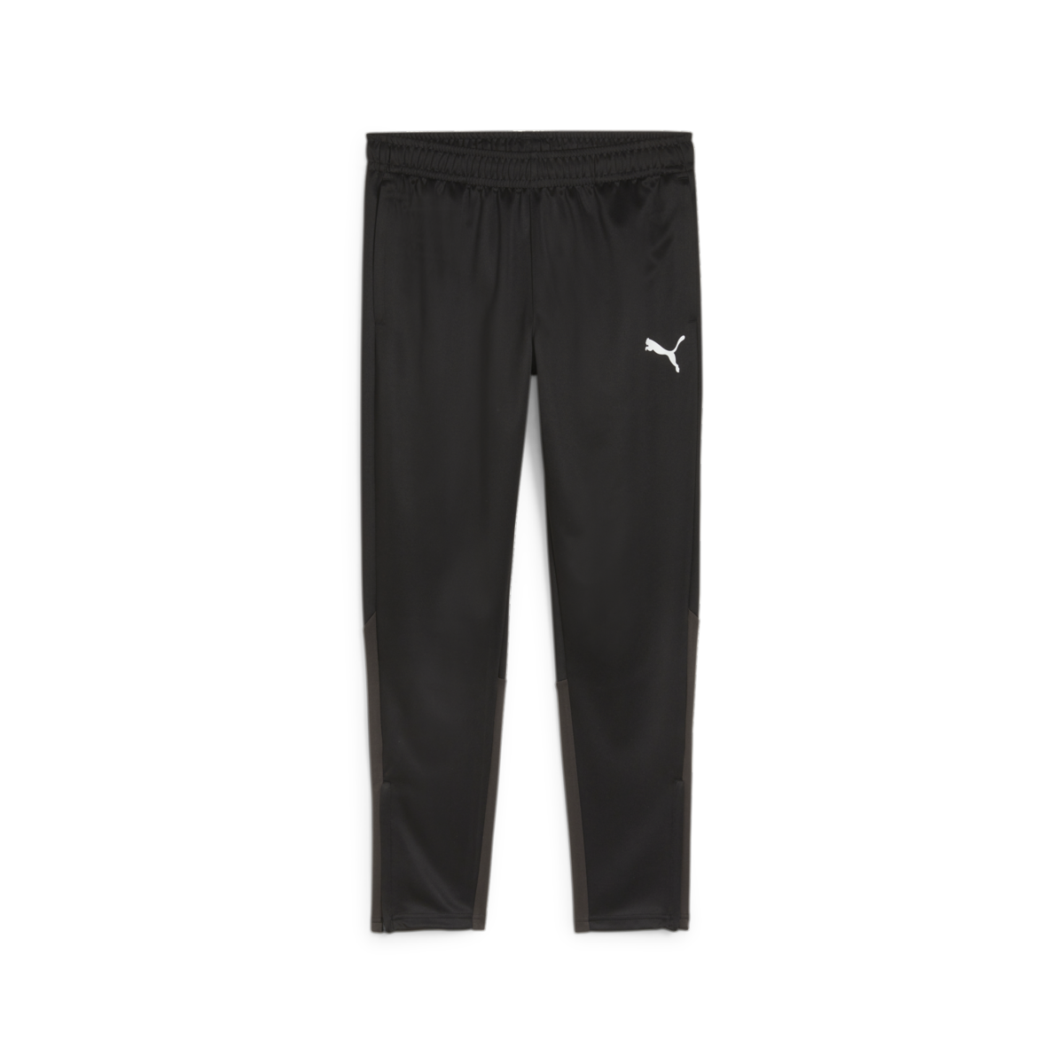 Puma Team Goal Training Pants - Black 658639-03