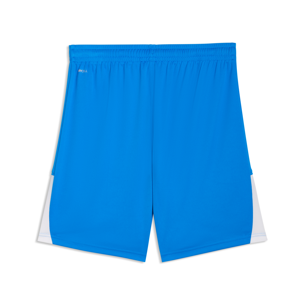 Puma TeamLiga 26 Shorts - Royal