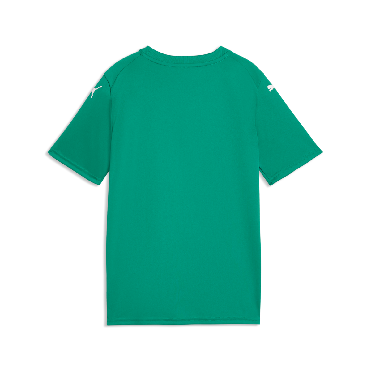 Puma Youth Teamfinal Graphic Jersey - Green