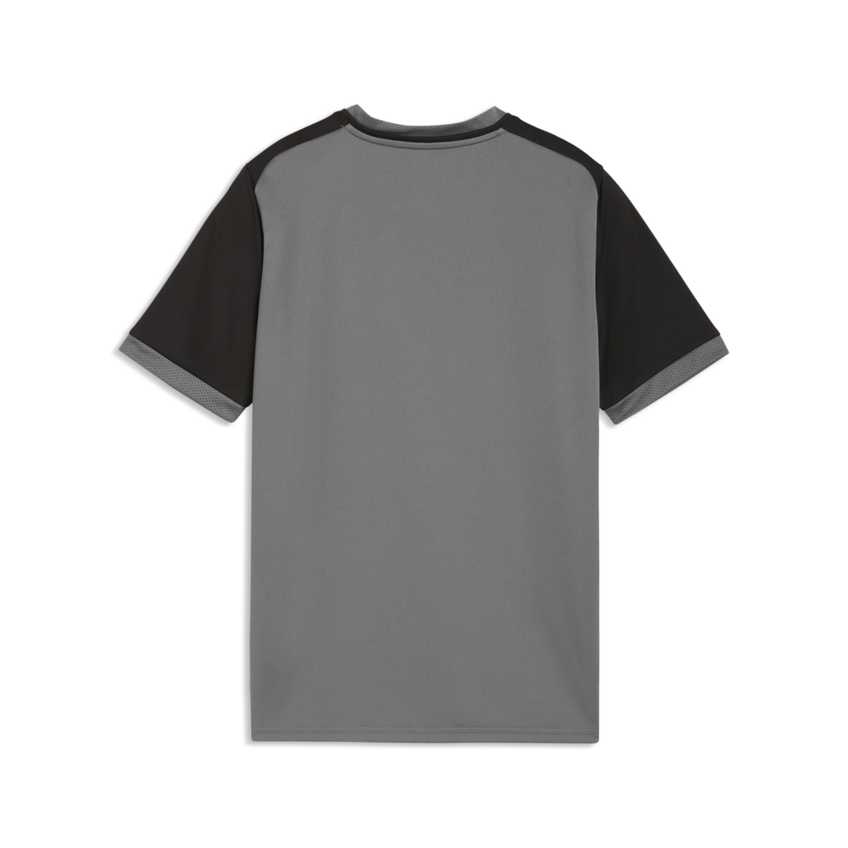 Puma Youth TeamLiga 26 Matchday Jersey - Gray