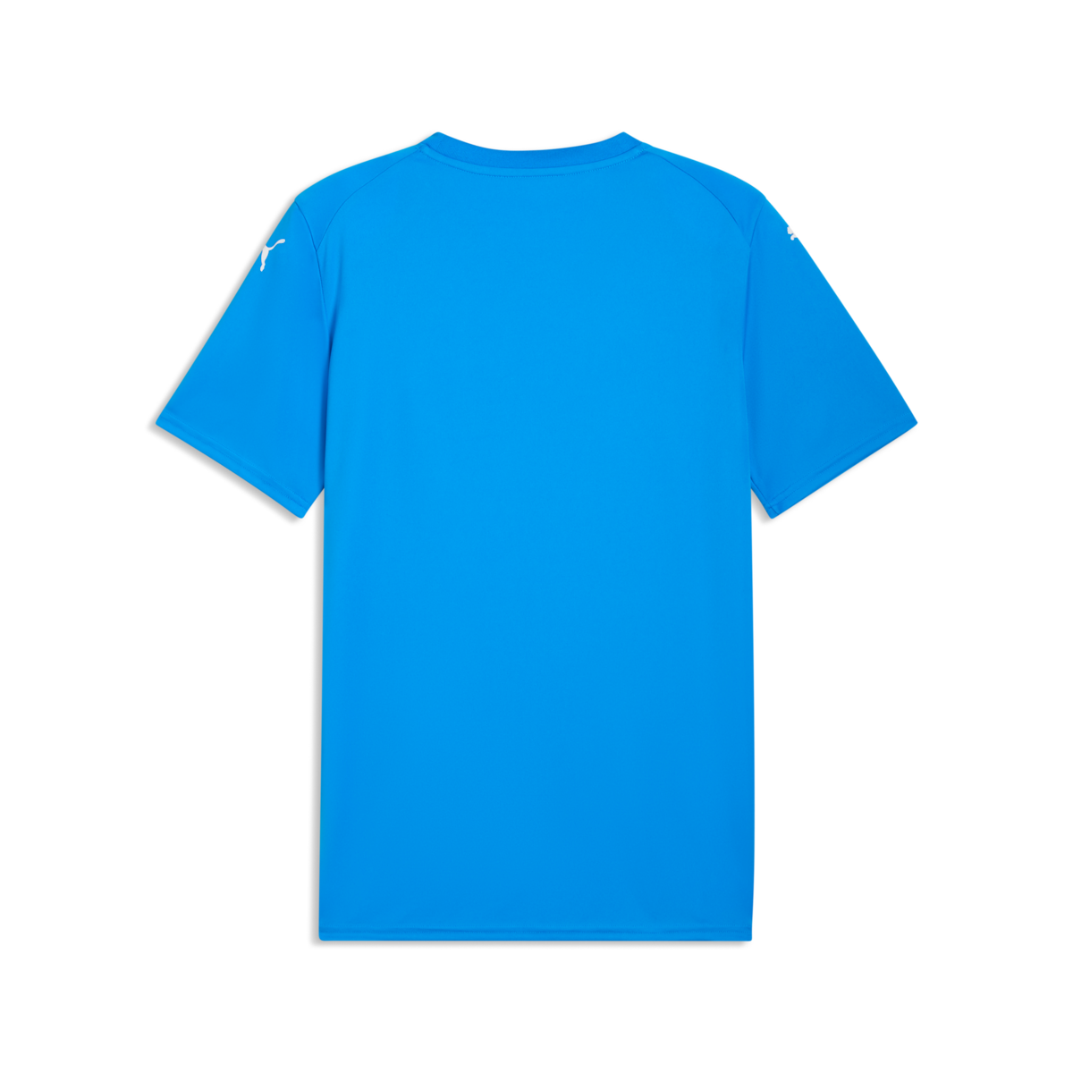 Puma Teamfinal Graphic Jersey - Royal