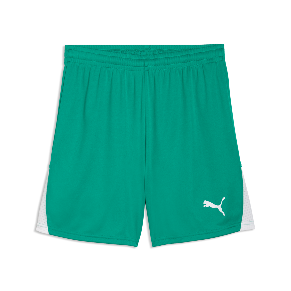 Puma TeamLiga 26 Shorts - Green