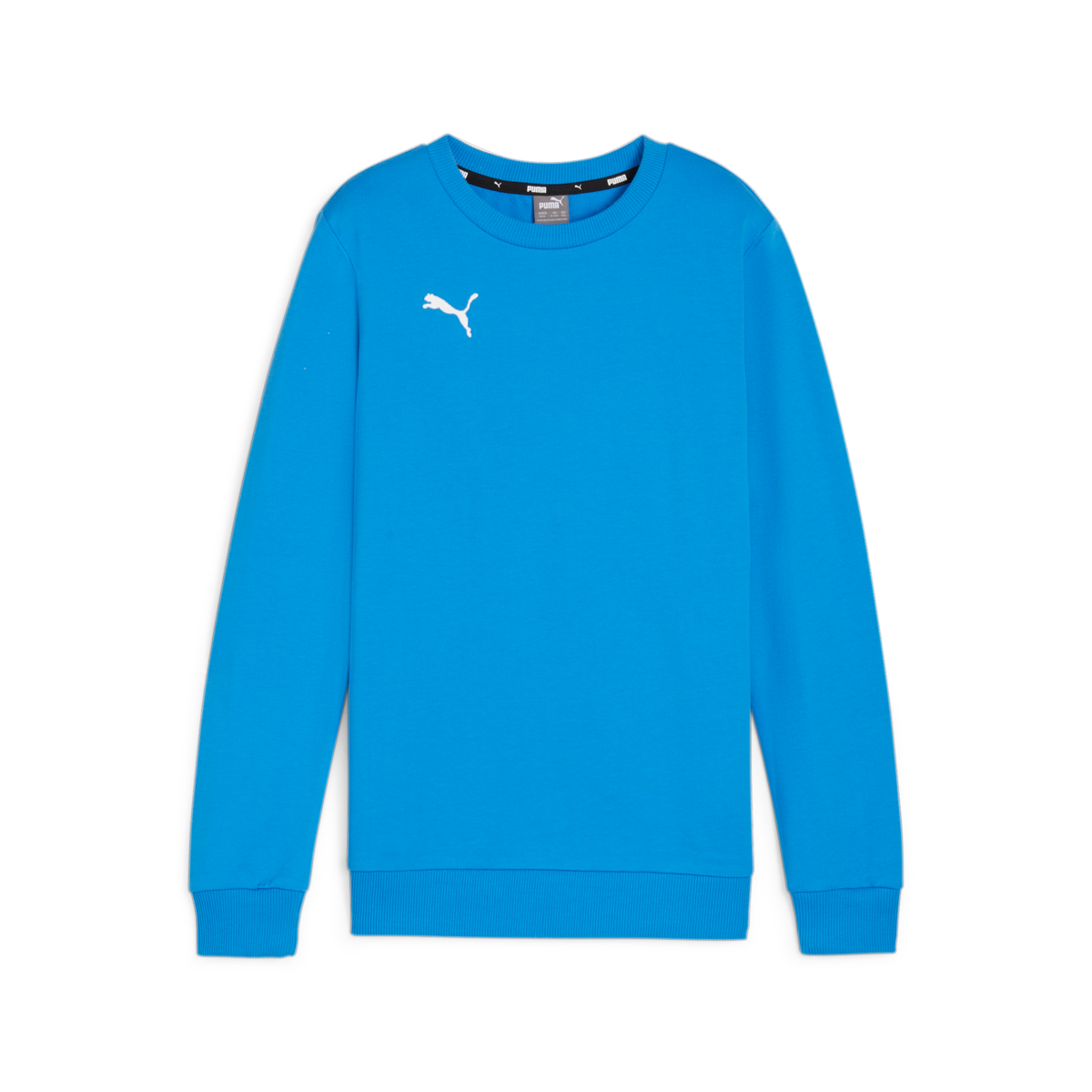 Puma Youth TeamGoal Casuals Crew Neck Sweat - Ignite Blue
