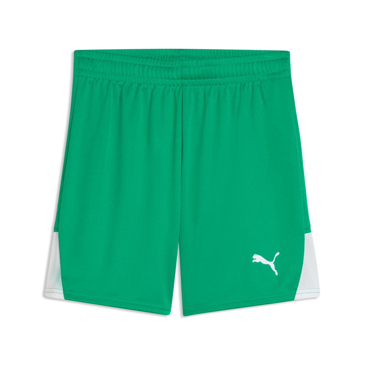 Puma Youth TeamLiga 26 Shorts - Green