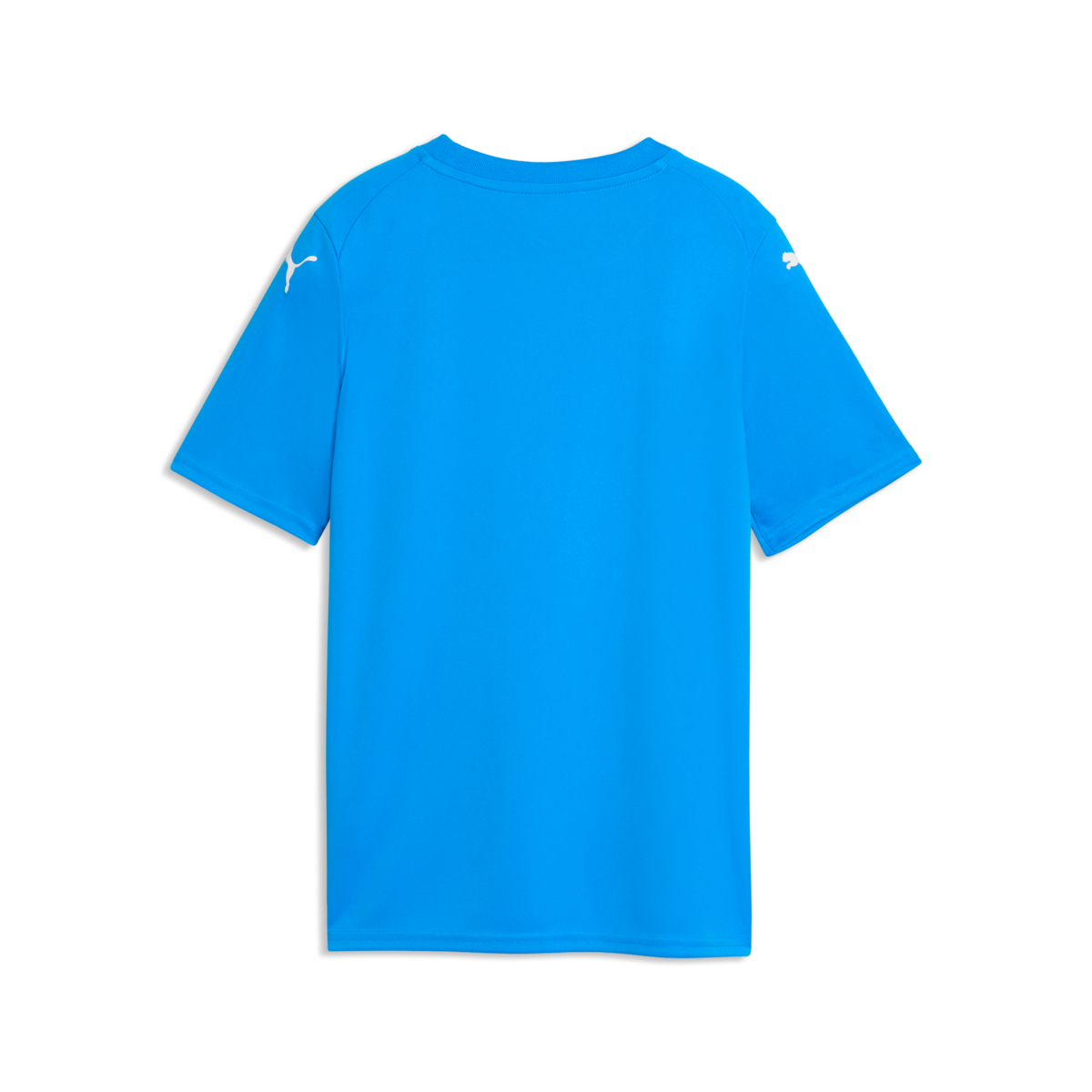 Puma Youth Teamfinal Graphic Jersey - Royal