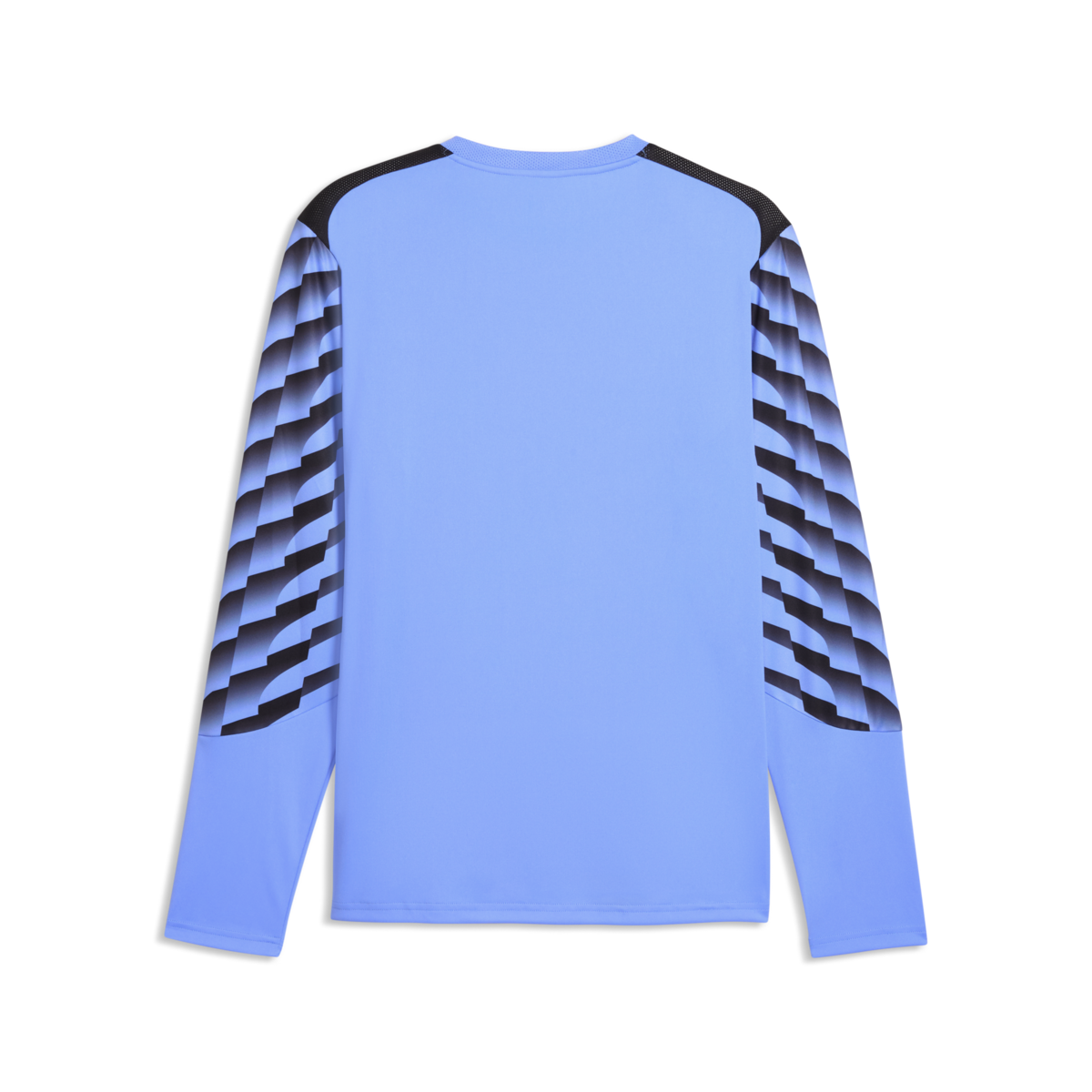 Puma TeamLiga 26 Gk Jersey - Blue Glimmer