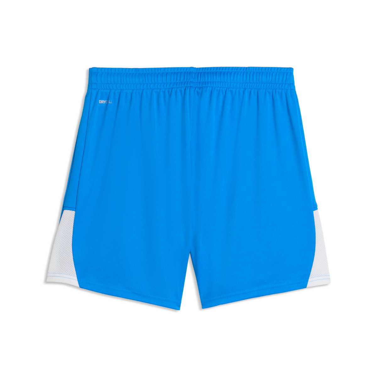 Puma Women'S TeamLiga 26 Shorts - Royal