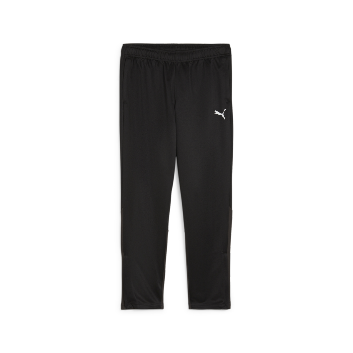 Puma Women's Team Goal Training Pants - Black 658642-03