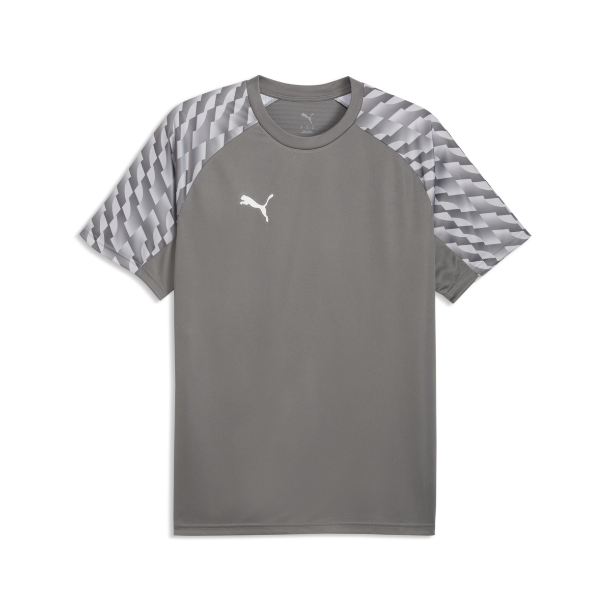 Puma TeamLiga 26 Jersey - Gray