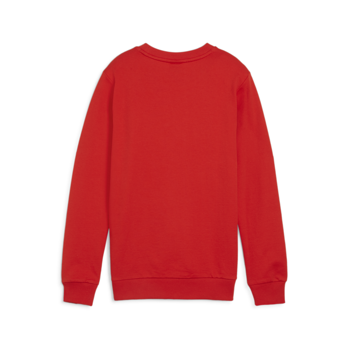 Puma Youth TeamGoal Casuals Crew Neck Sweat - Red