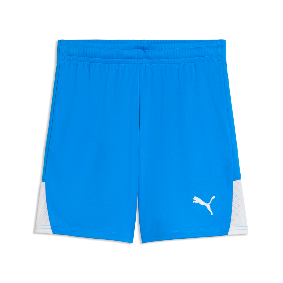 Puma Youth TeamLiga 26 Shorts - Royal