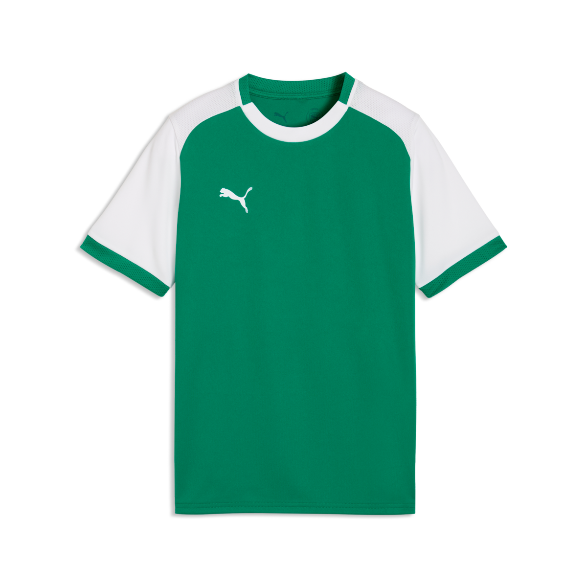 Puma Youth TeamLiga 26 Matchday Jersey - Green