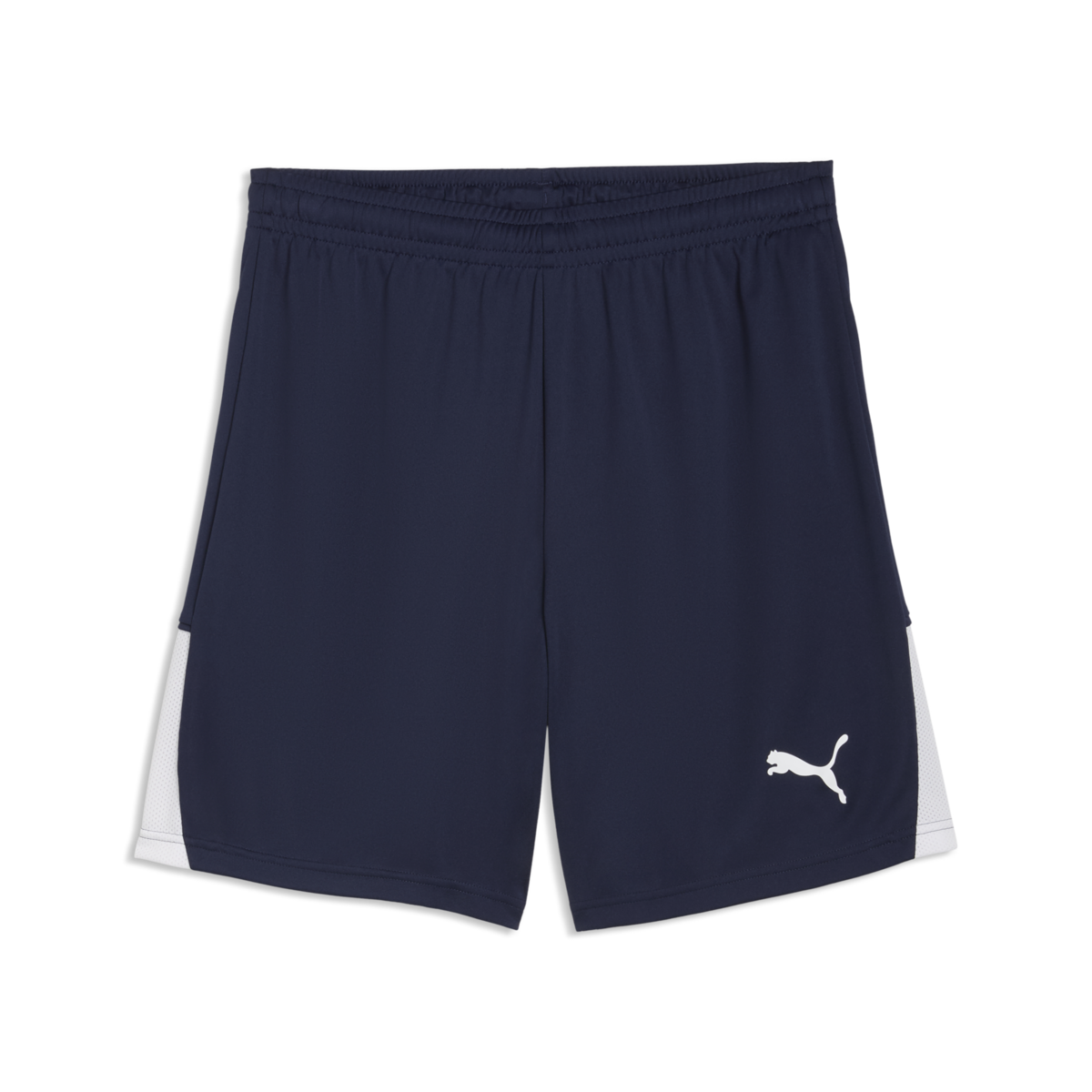 Puma TeamLiga 26 Shorts - Navy