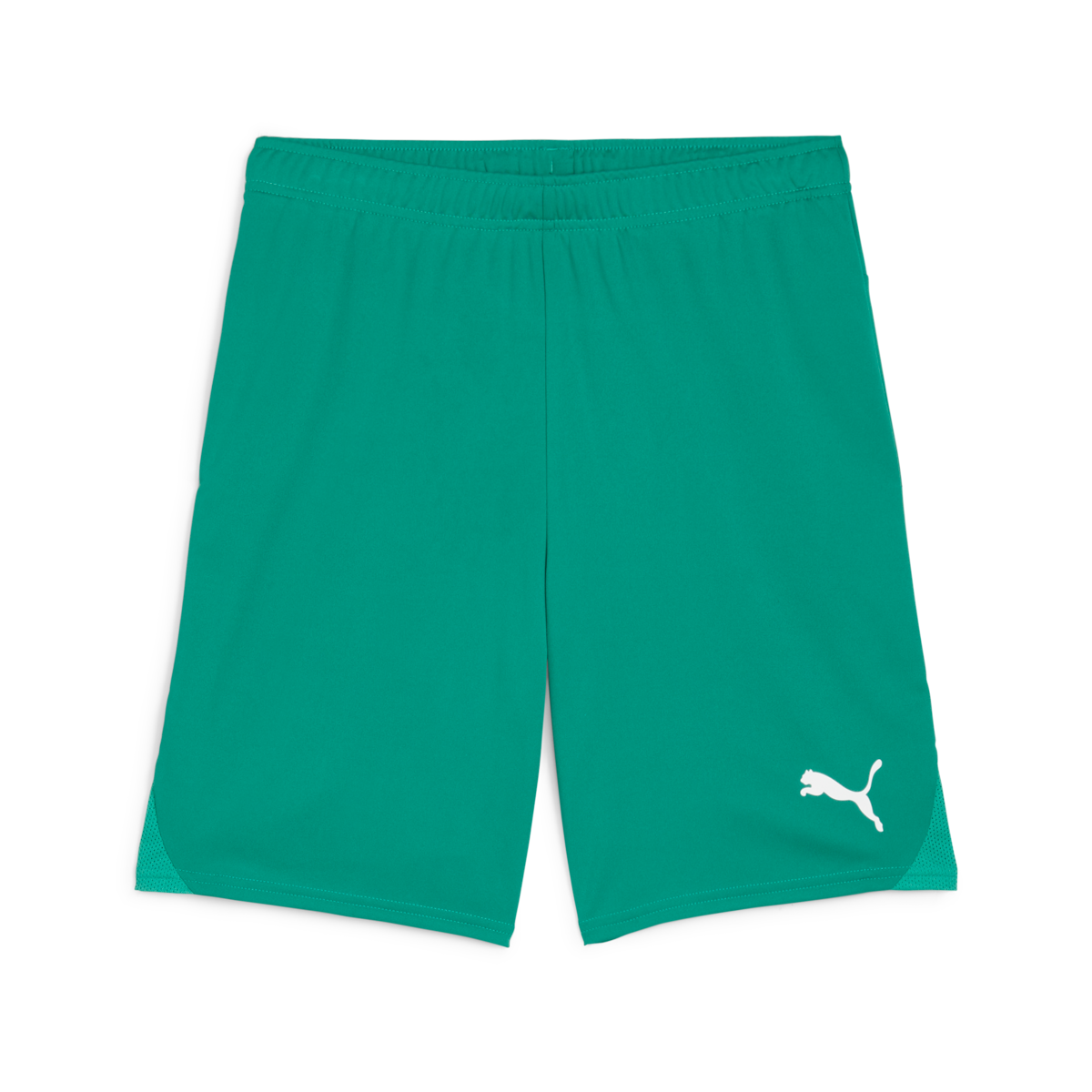 Puma Youth Teamgoal Shorts - Green 705753-05