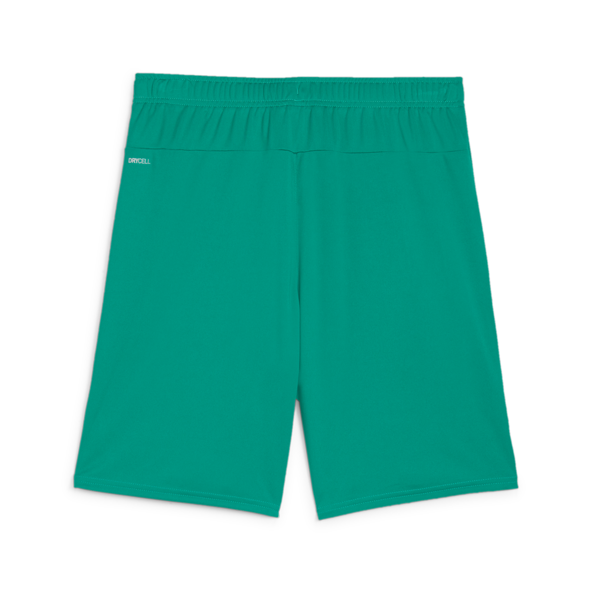 Puma Youth Teamgoal Shorts - Green 705753-05