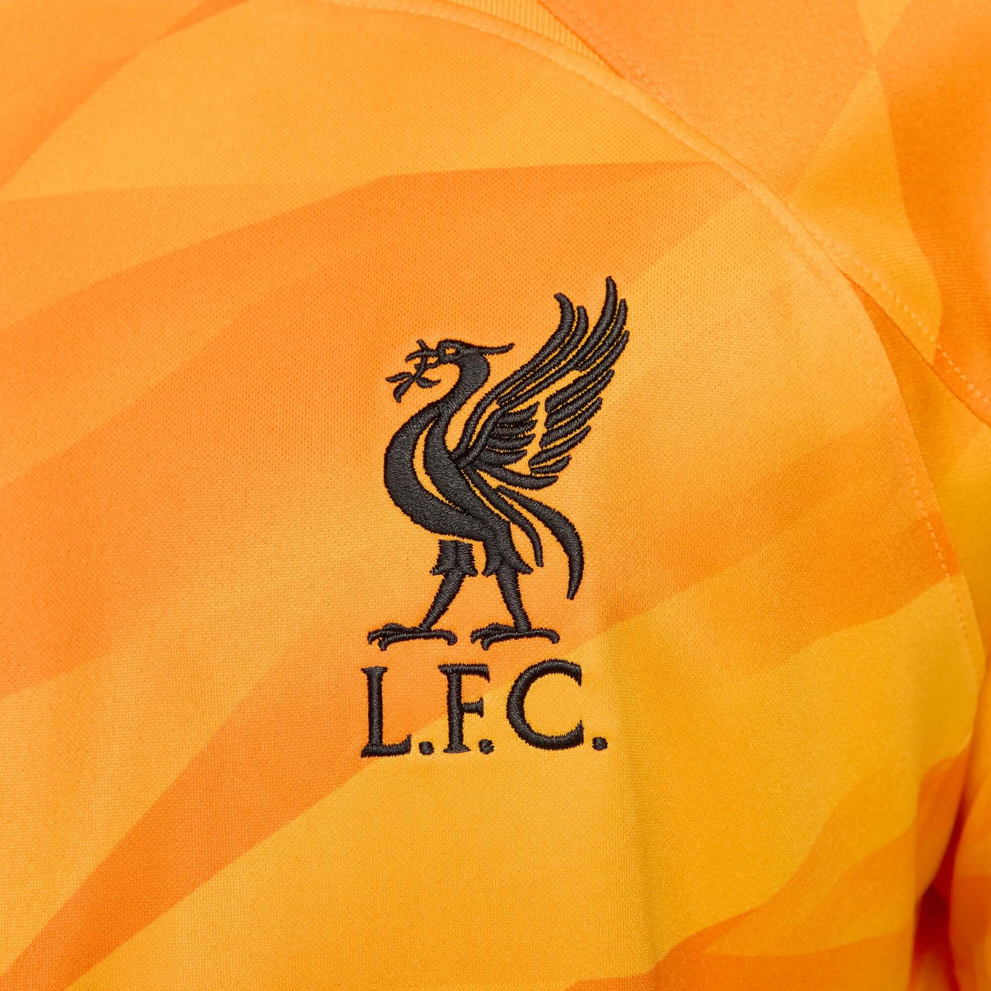 Nike Liverpool 23/24 Goalkeeper Jersey Soccer DX2691-706 Blue