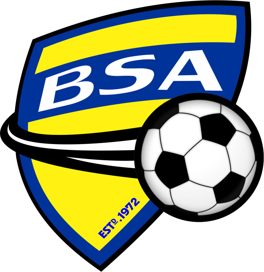 BSA1 - BSA "CREST" POCKET Color