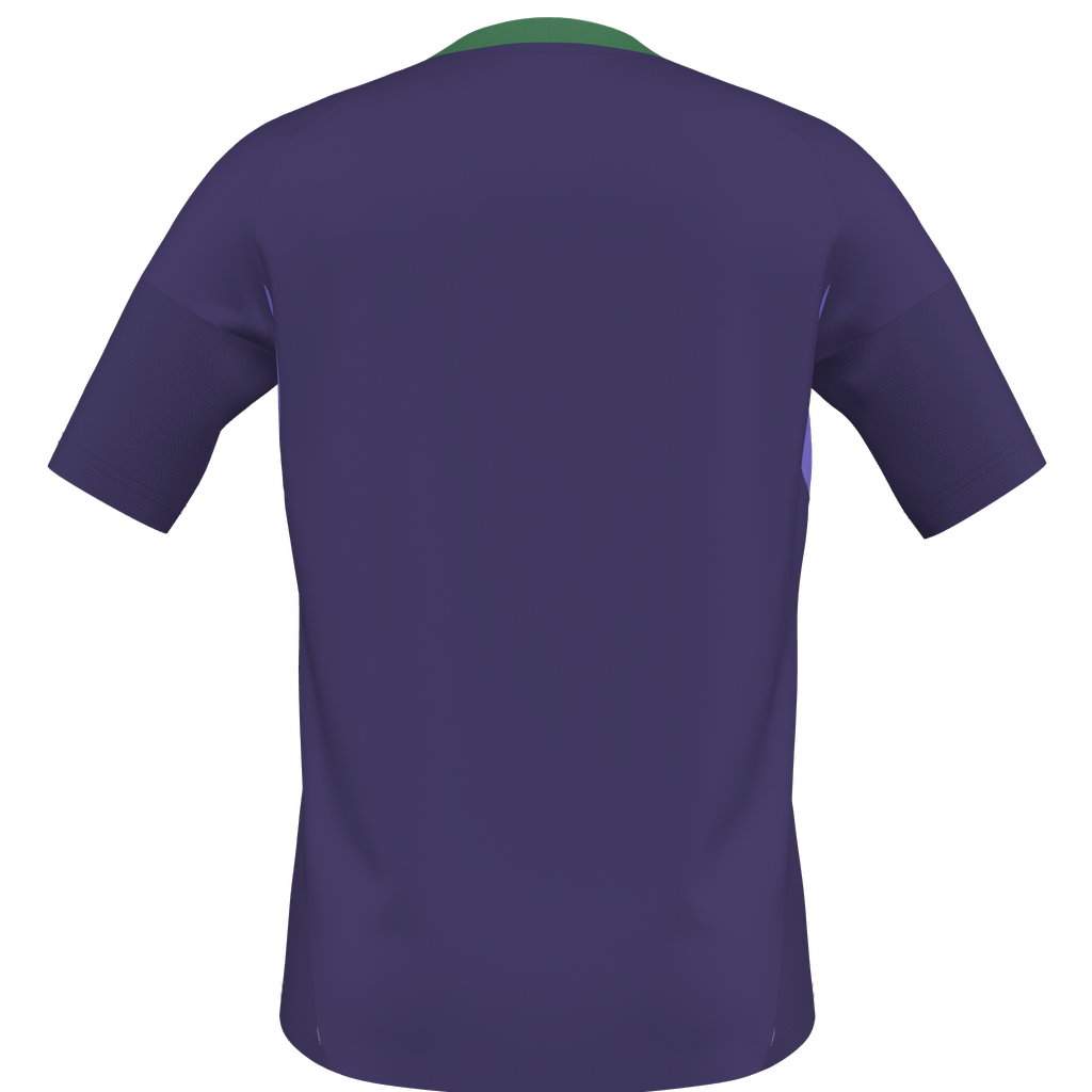 adidas Youth Tiro 25 Competition Match GK Short Sleeve Jersey Celtic - Purple JD7361-CELTIC-PURPLE