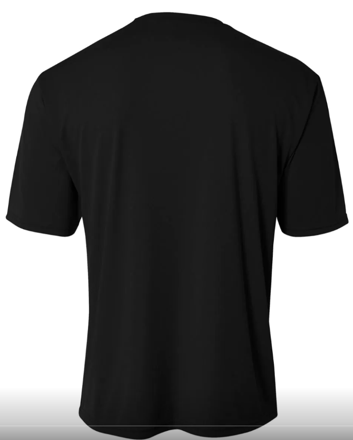 Back view of a plain black short-sleeved t-shirt.