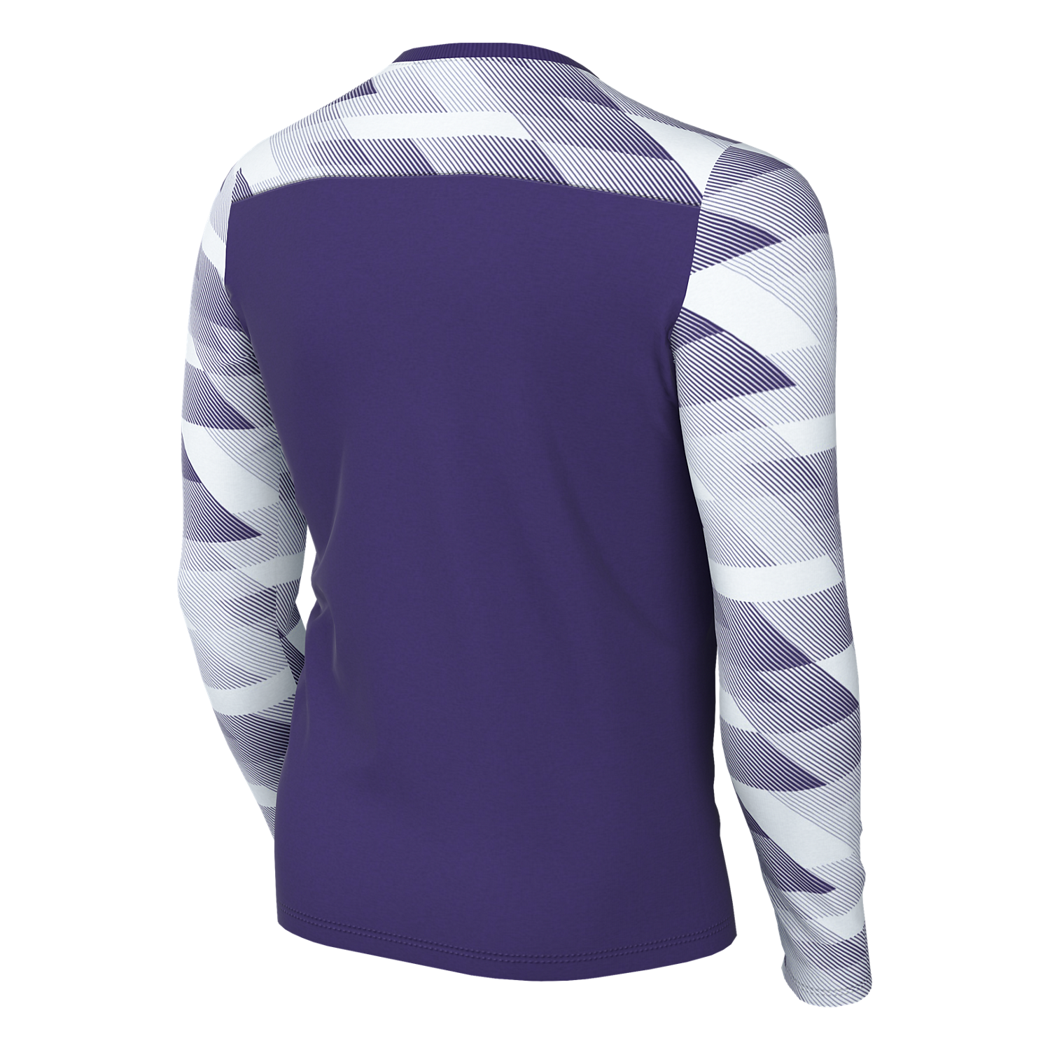Nike Youth Dri-FIT Park IV GK Jersey - Purple CJ6073-547