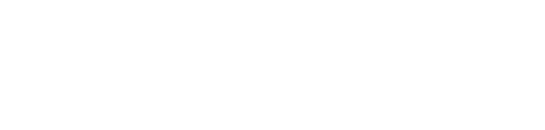 A solid white, blank horizontal rectangle.