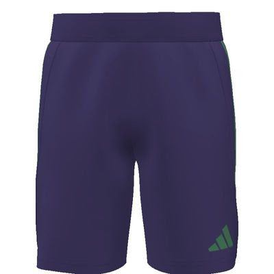 adidas Youth Custom Tiro 25 Competition Match Shorts Celtic - Purple