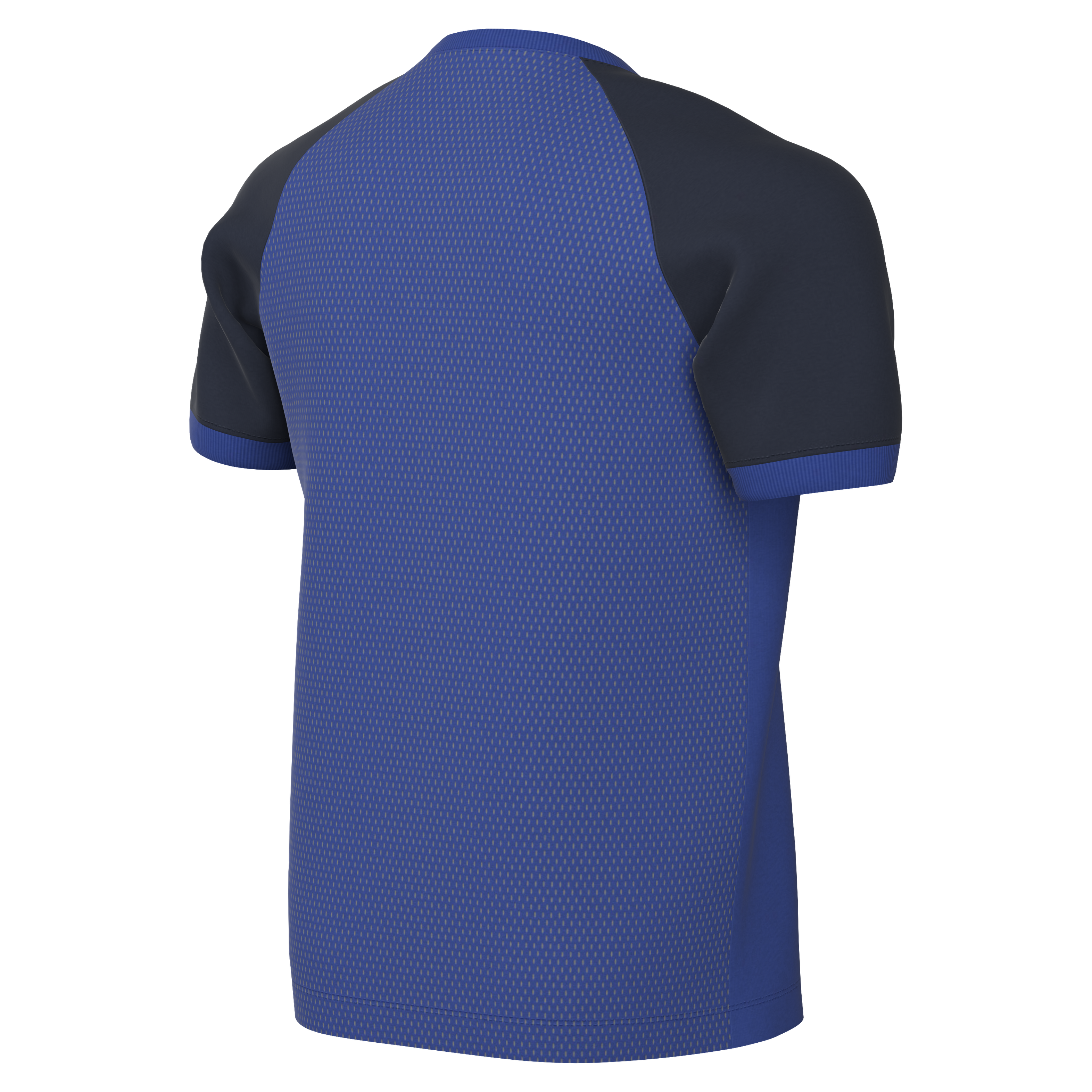 Nike Youth Dri-Fit Trophy VI Jersey - Game Royal - back
