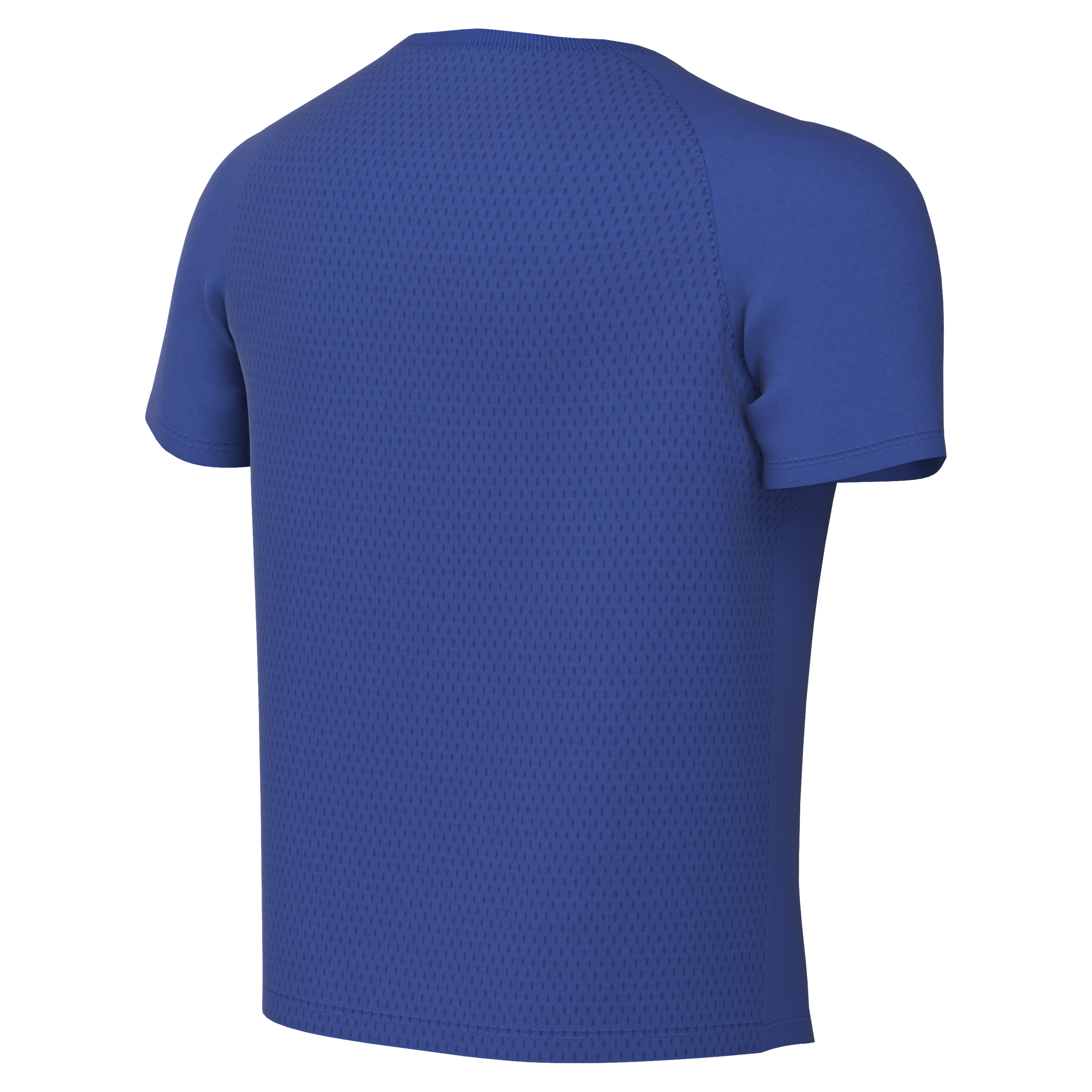 Nike Youth Dri-Fit Park VIII Jersey - Game Royal - back