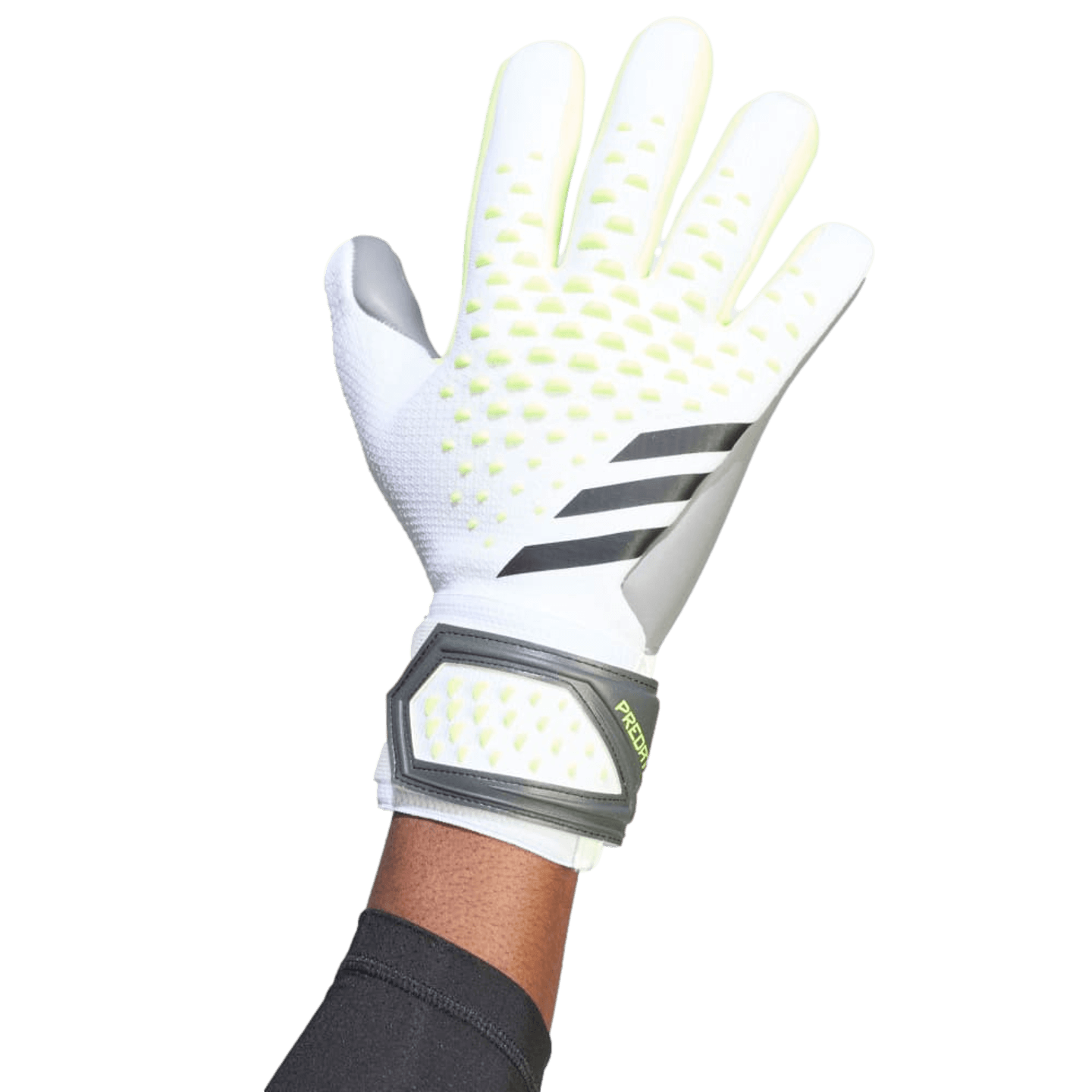 Gants de gardien de but Adidas Predator League