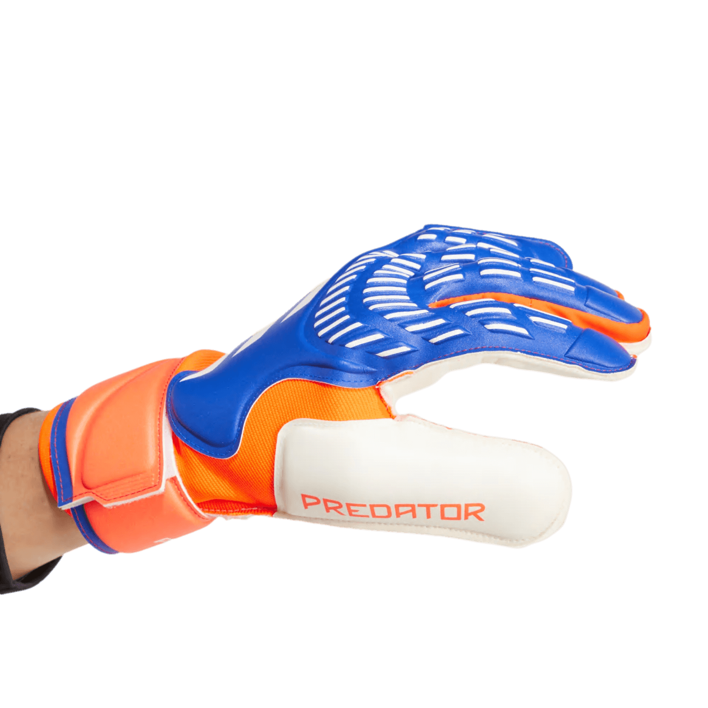 Gants de gardien de but Adidas Predator Match