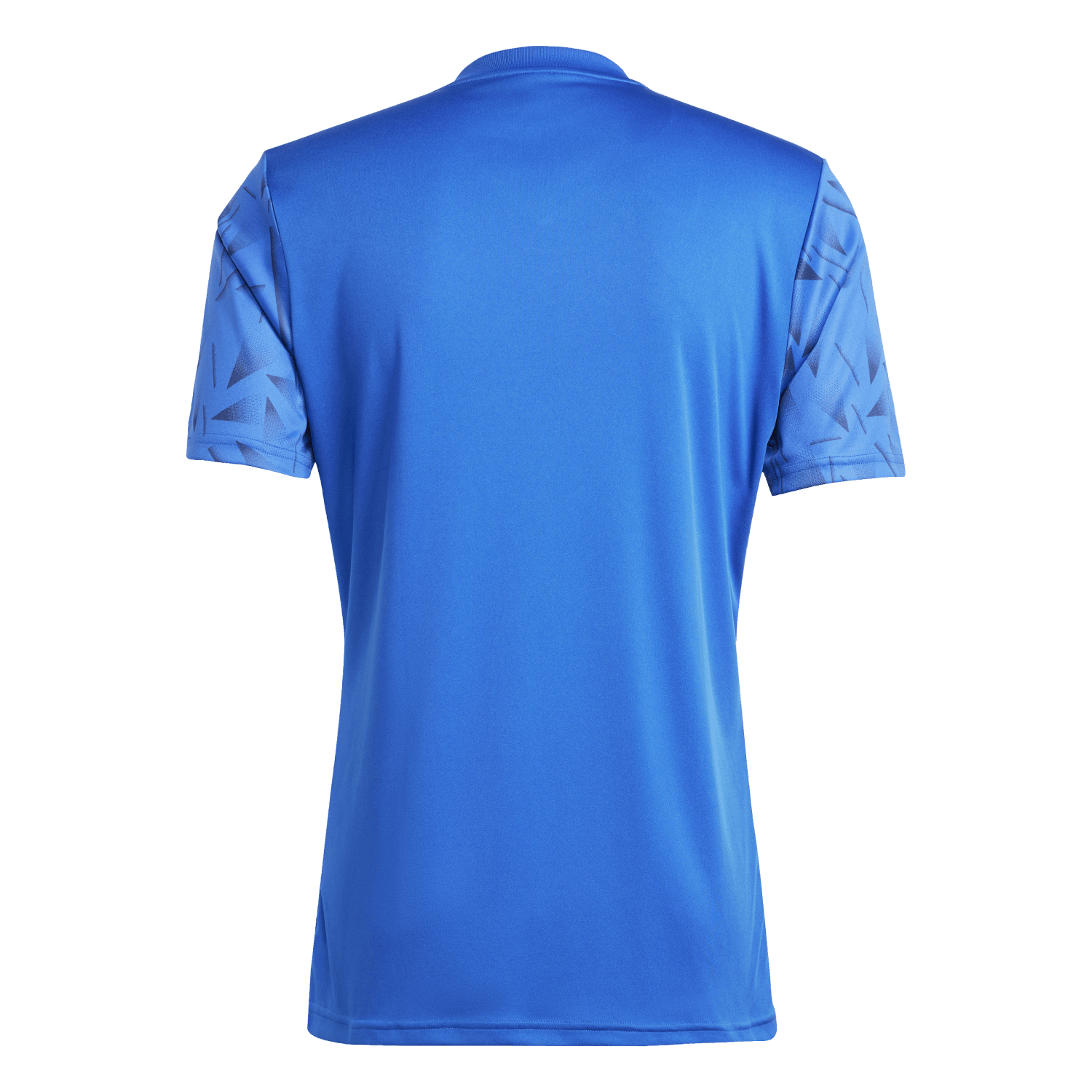 adidas Team Icon 25 Jersey - Royal JG3550