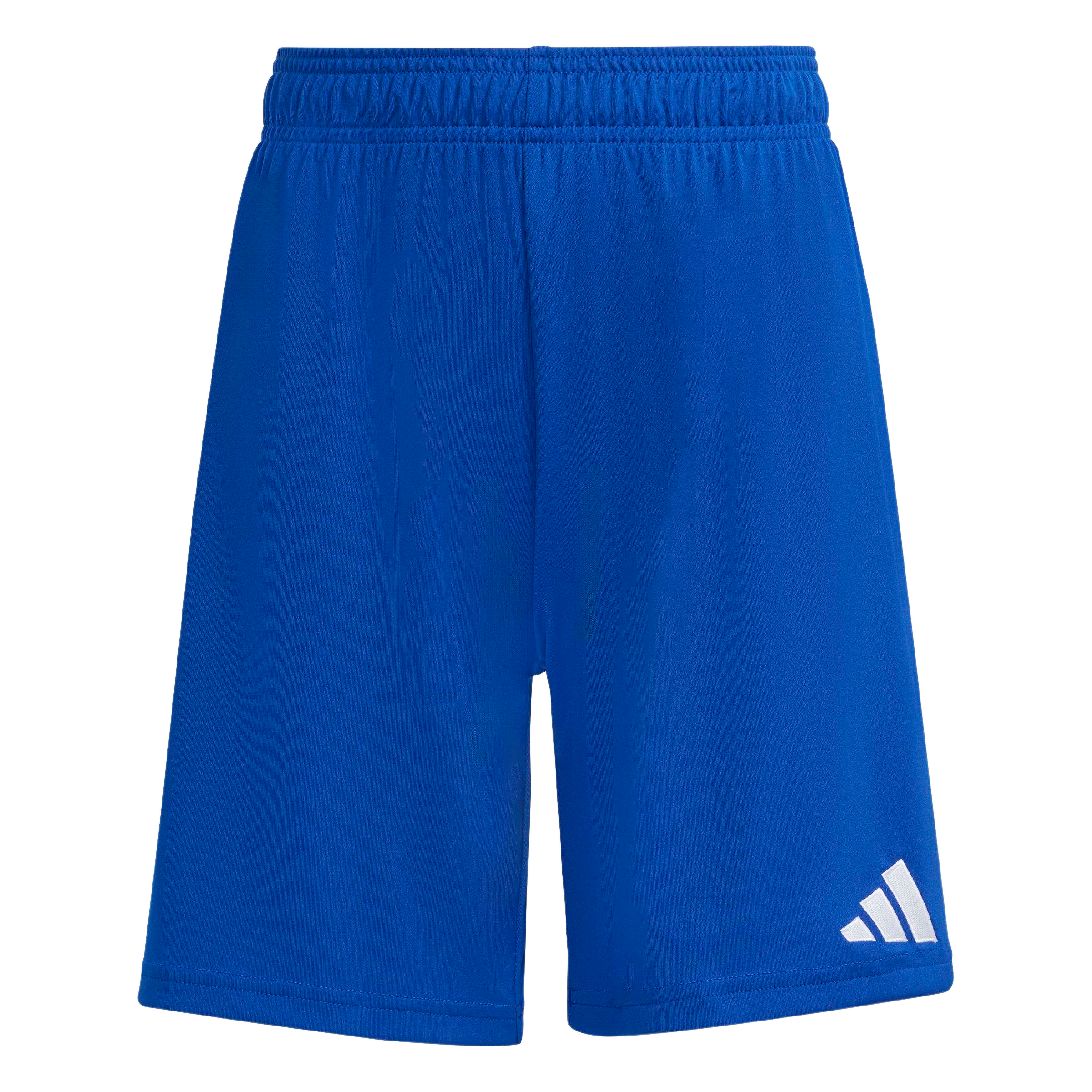 Royal blue athletic shorts with an elastic waistband and a white Adidas logo on the lower left leg.