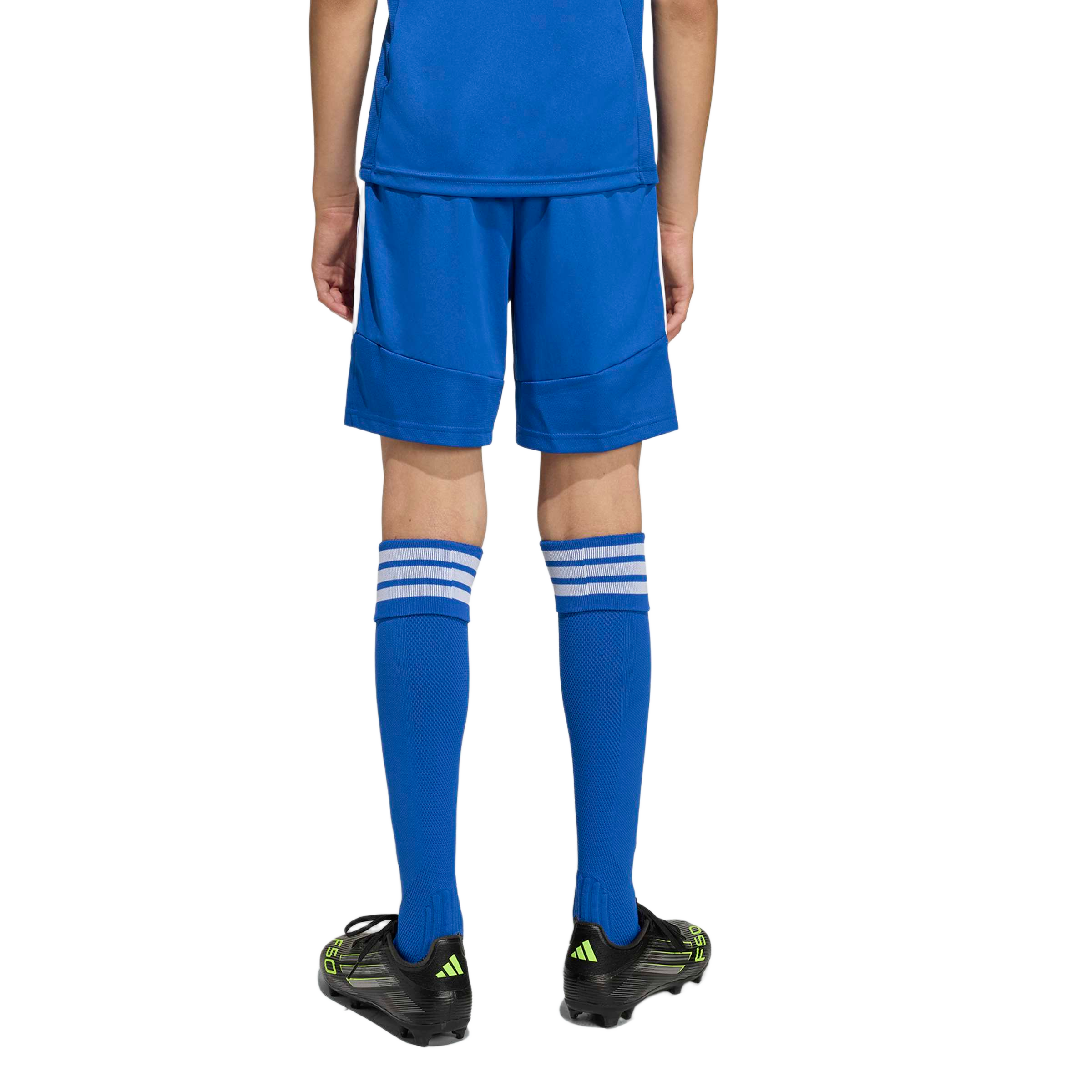 Rear view of a person wearing a blue soccer kit, matching striped socks, and black cleats.