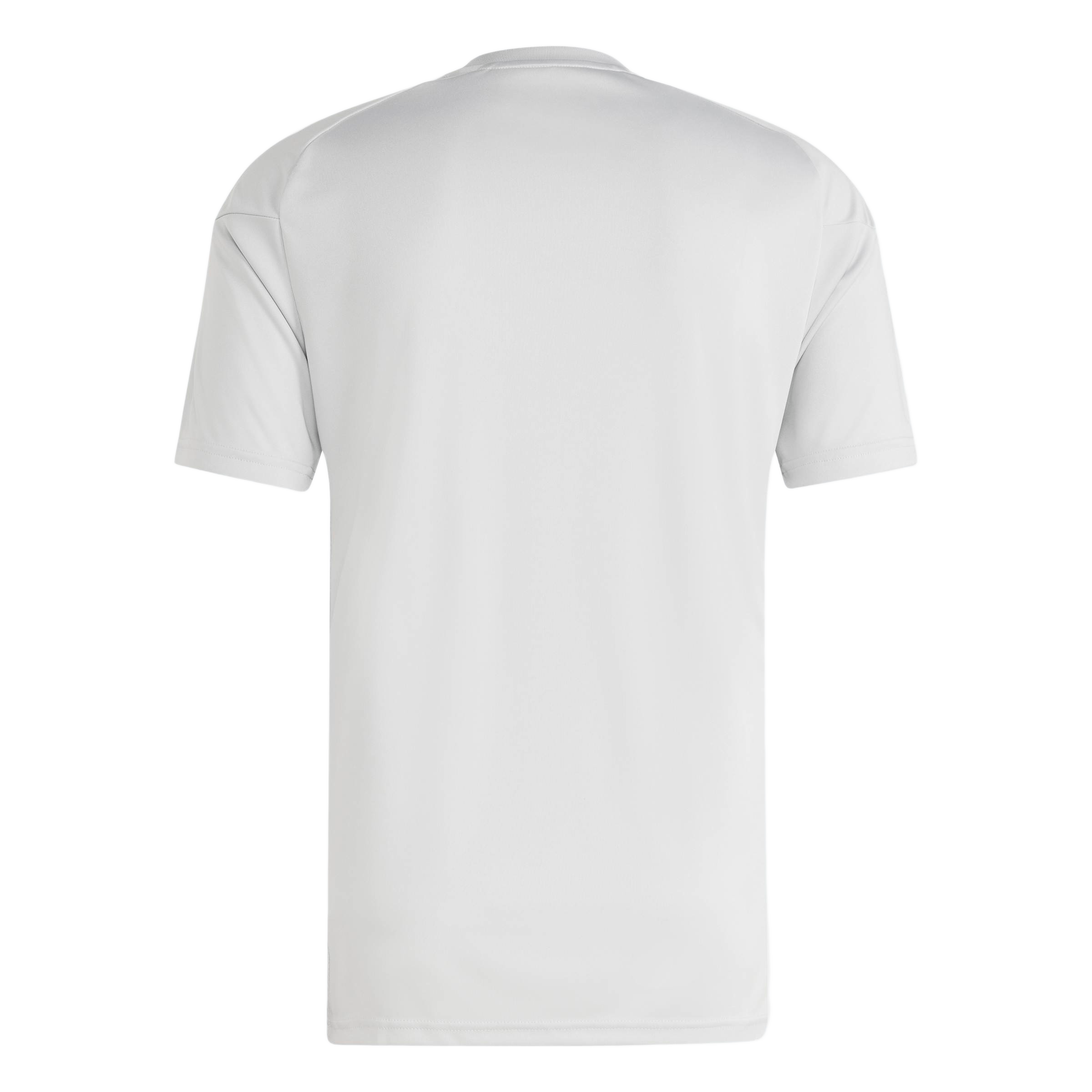 Rear view of a plain white, short-sleeved crewneck t-shirt.